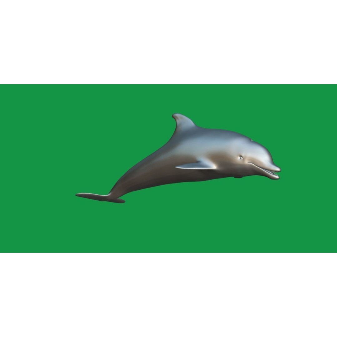 Bottlenose Dolphin 3D Model – Cute Rigged Animation with PBR Textures - View 9