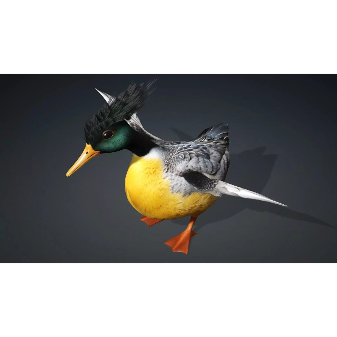 Duck-B1 3D Model – Rigged PBR Animated Bird Asset for Games - View 11