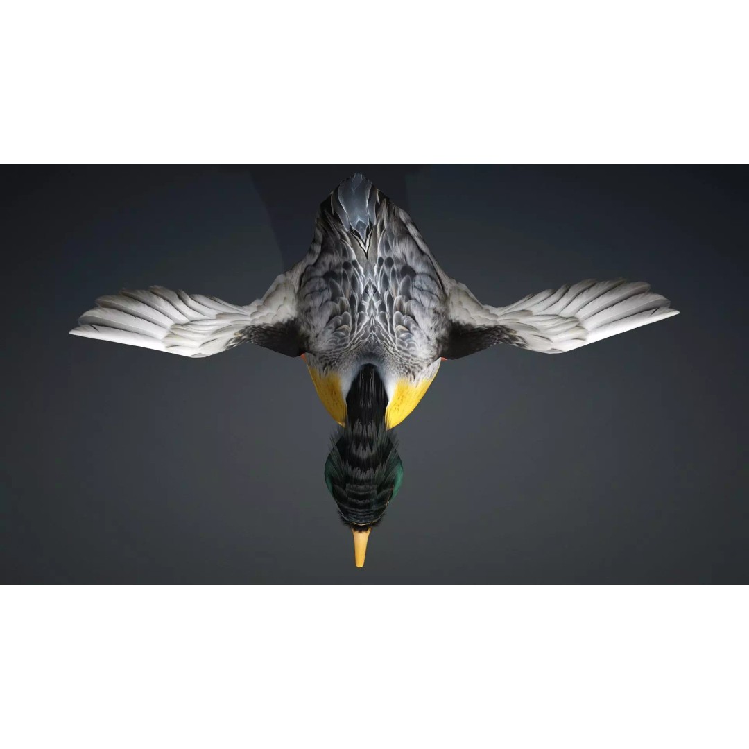 Duck-B1 3D Model – Rigged PBR Animated Bird Asset for Games - View 12