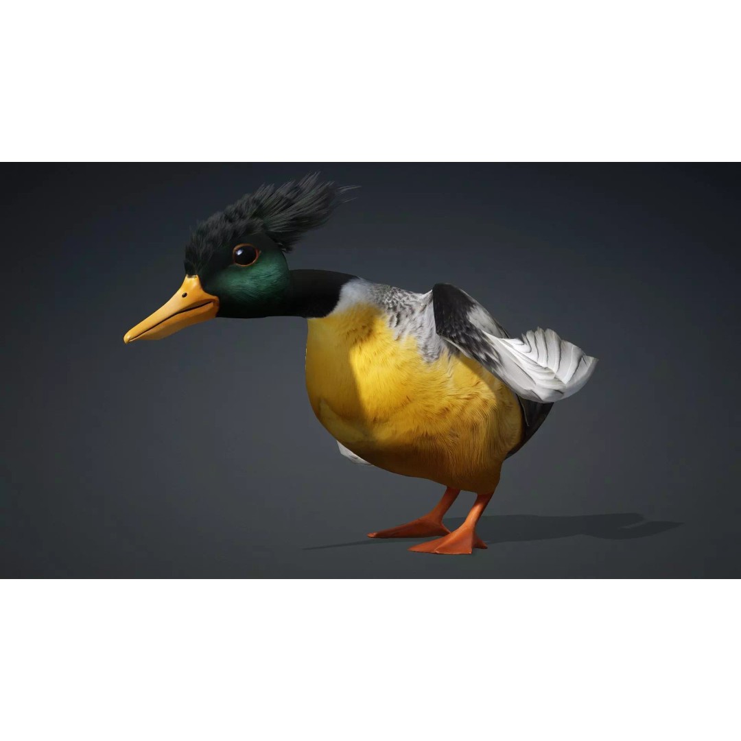 Duck-B1 3D Model – Rigged PBR Animated Bird Asset for Games - View 13
