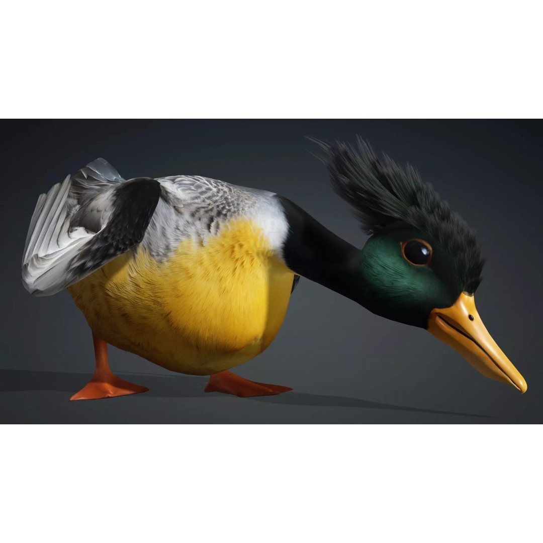 Duck-B1 3D Model – Rigged PBR Animated Bird Asset for Games - View 14