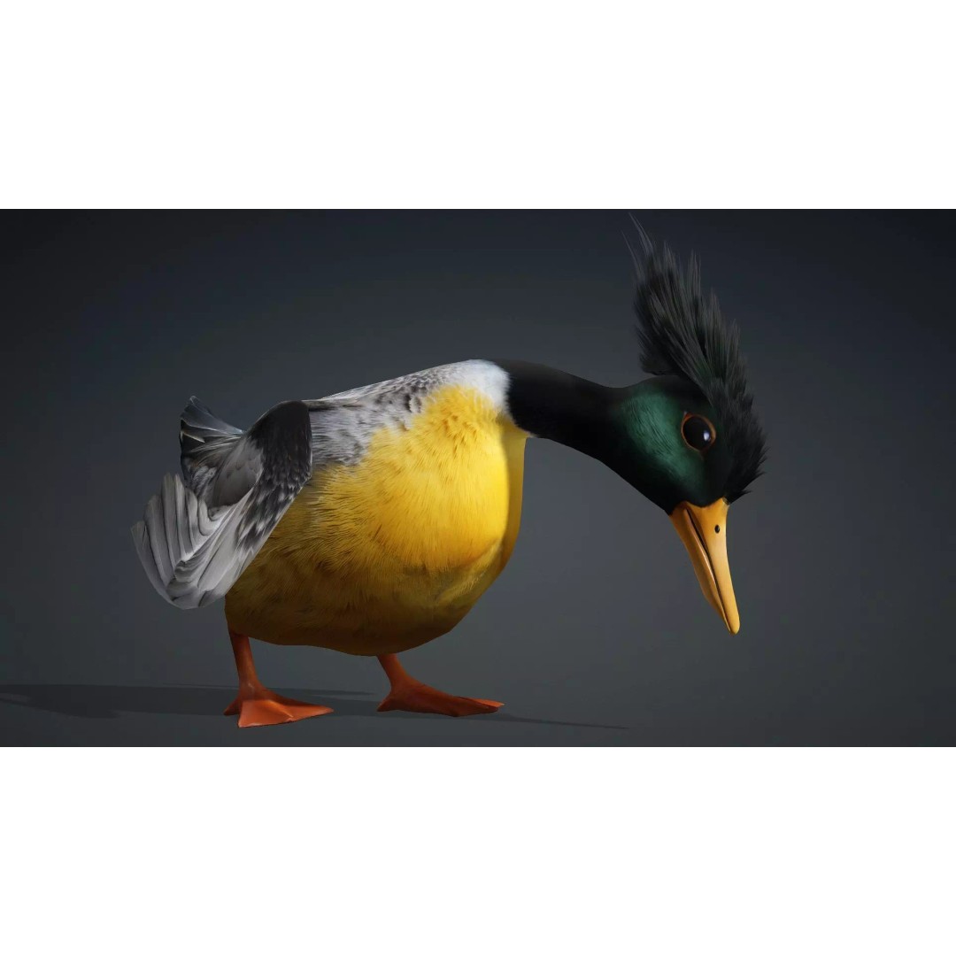 Duck-B1 3D Model – Rigged PBR Animated Bird Asset for Games - View 15