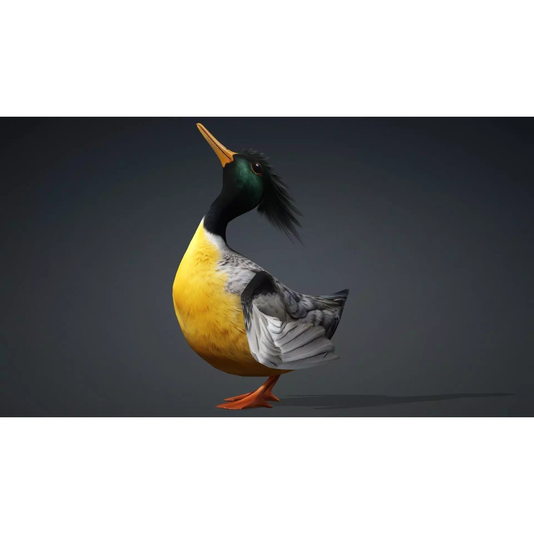 Duck-B1 3D Model – Rigged PBR Animated Bird Asset for Games - View 16