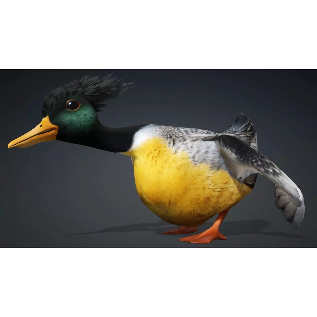 Duck-B1 3D Model – Rigged PBR Animated Bird Asset for Games - View 17