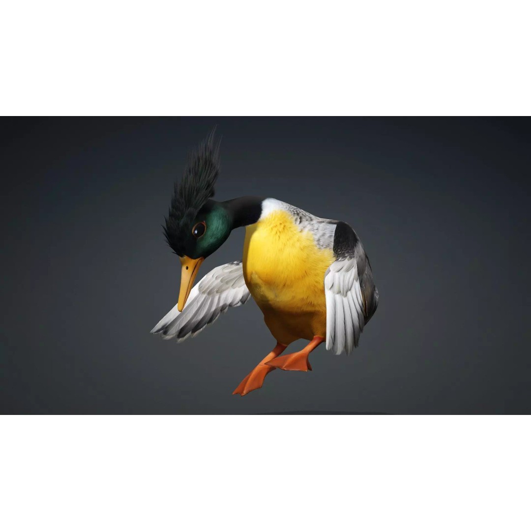 Duck-B1 3D Model – Rigged PBR Animated Bird Asset for Games - View 18