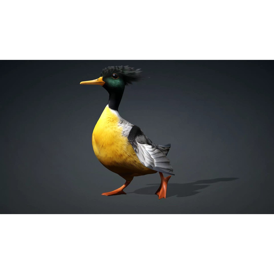Duck-B1 3D Model – Rigged PBR Animated Bird Asset for Games - View 3