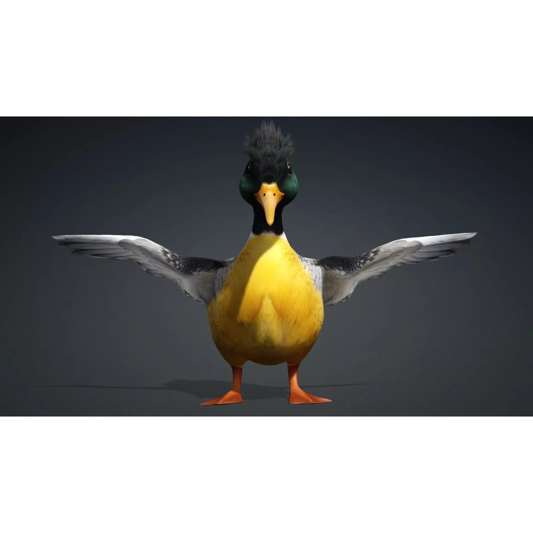 Duck-B1 3D Model – Rigged PBR Animated Bird Asset for Games - View 4