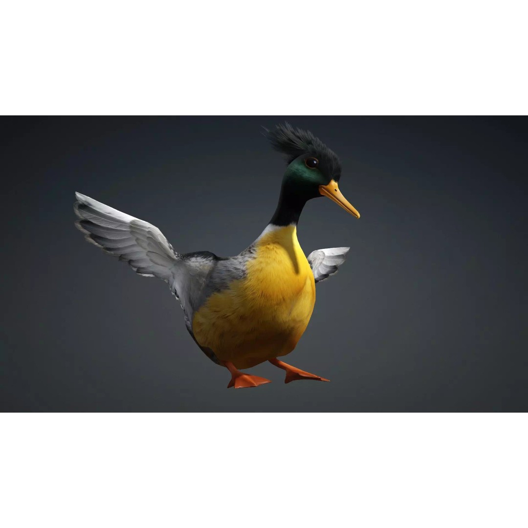 Duck-B1 3D Model – Rigged PBR Animated Bird Asset for Games - View 5