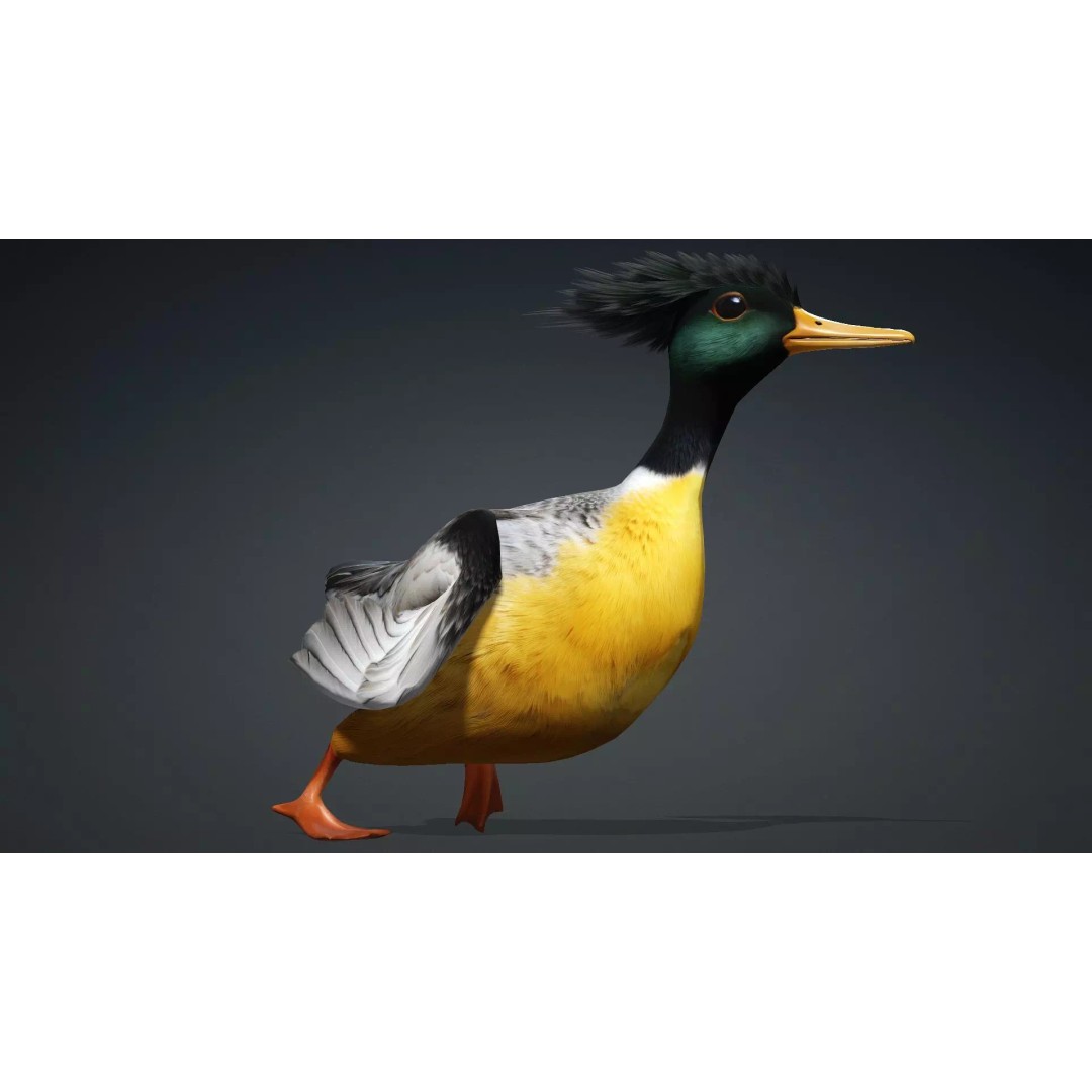 Duck-B1 3D Model – Rigged PBR Animated Bird Asset for Games - View 7