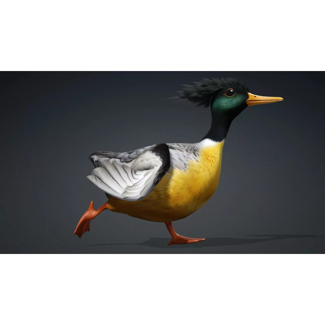 Duck-B1 3D Model – Rigged PBR Animated Bird Asset for Games - View 8