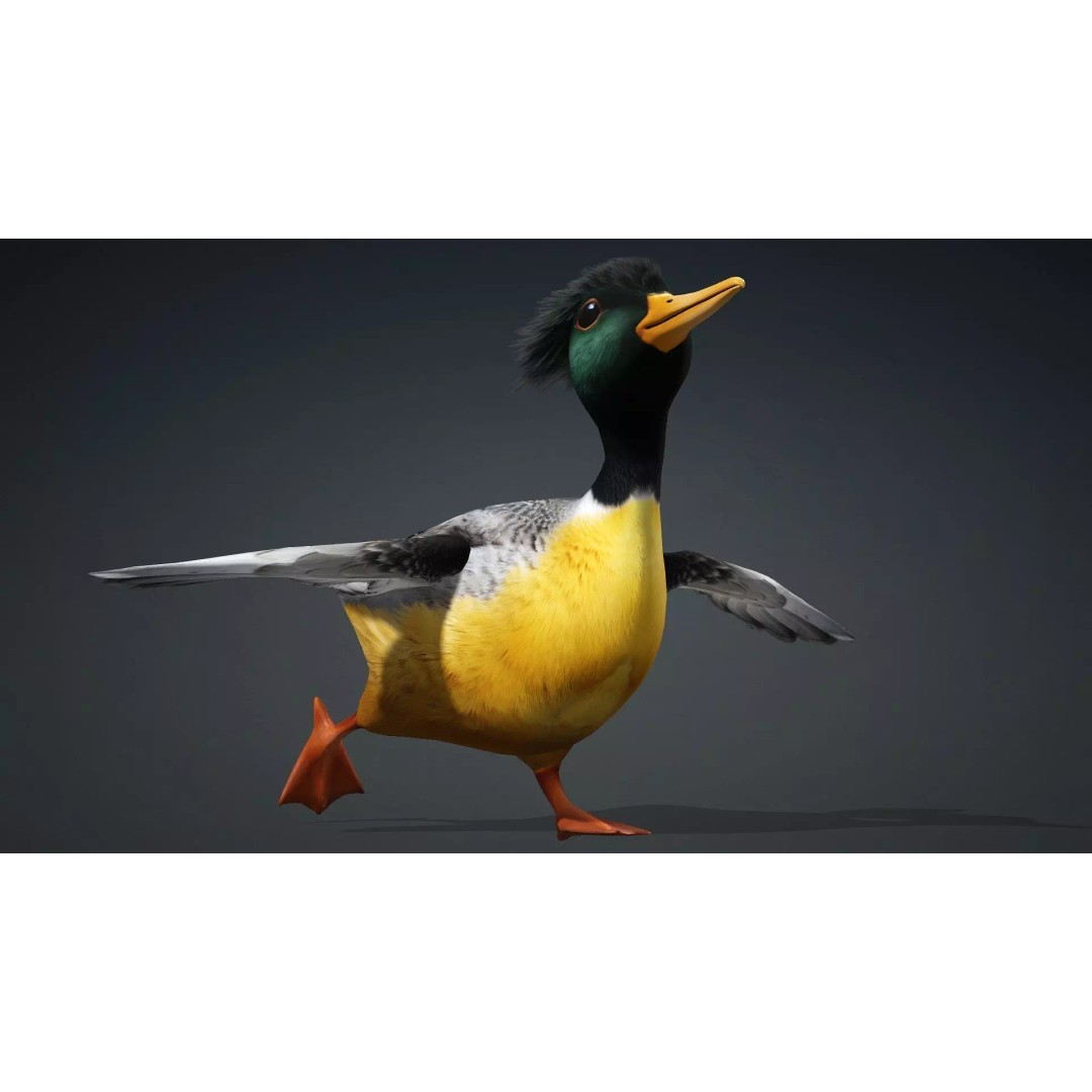 Duck-B1 3D Model – Rigged PBR Animated Bird Asset for Games - View 9