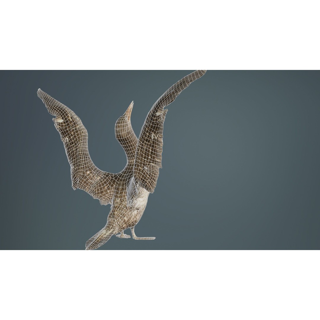 Cormorant Corvus Marinus 3D Model – Low Poly Game Asset, FBX - View 12