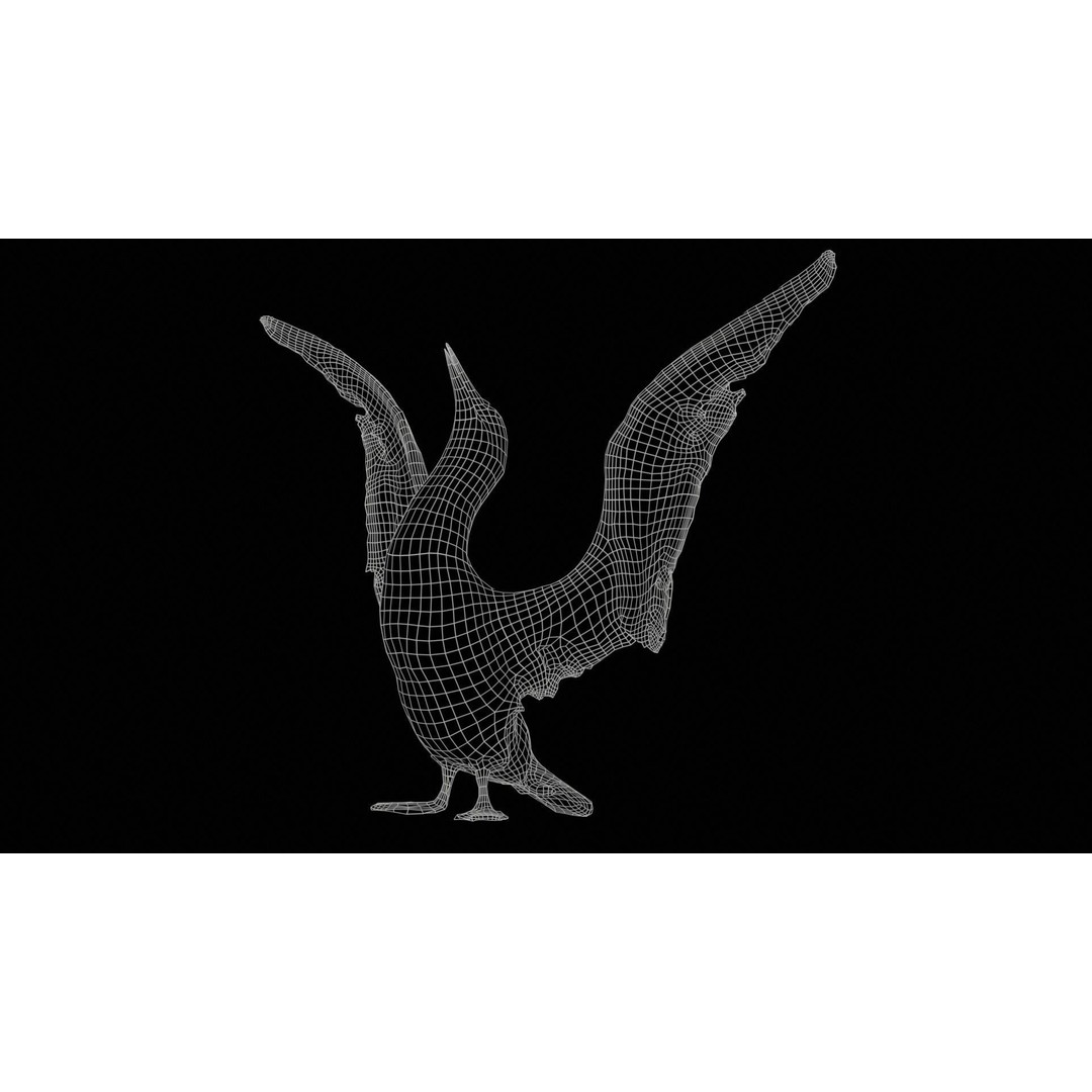 Cormorant Corvus Marinus 3D Model – Low Poly Game Asset, FBX - View 13