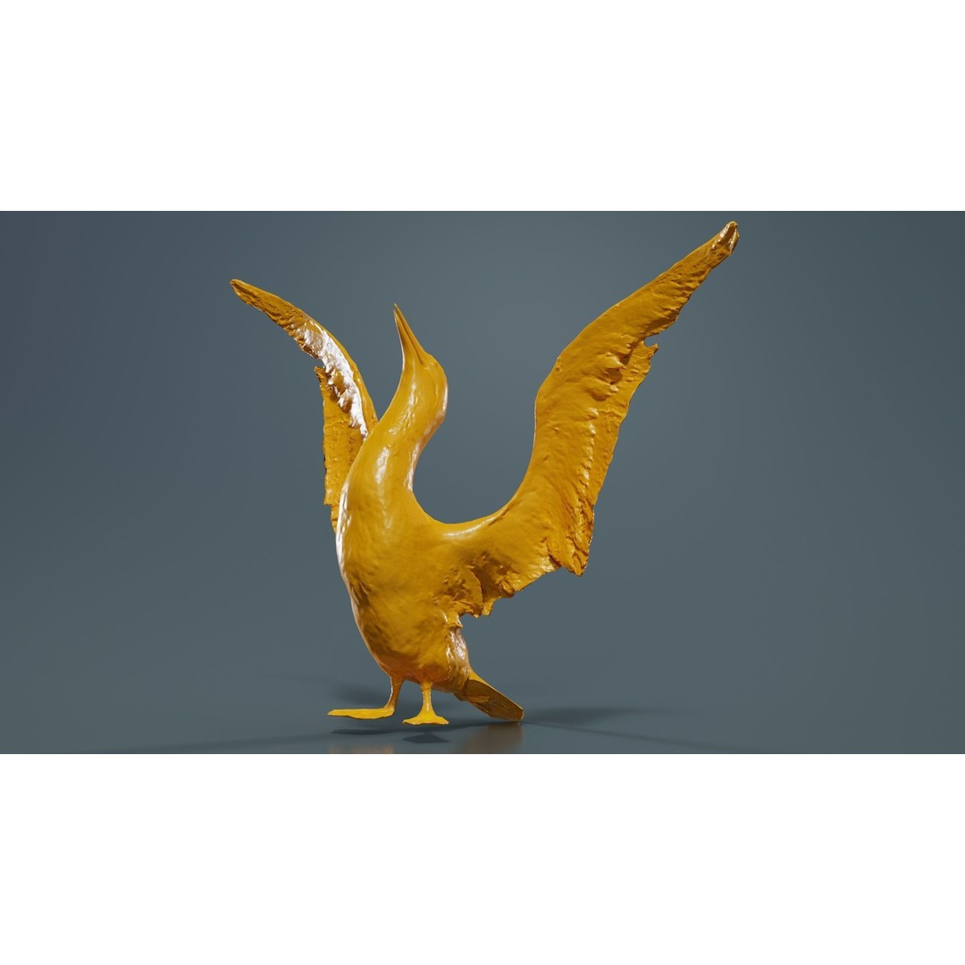 Cormorant Corvus Marinus 3D Model – Low Poly Game Asset, FBX - View 14