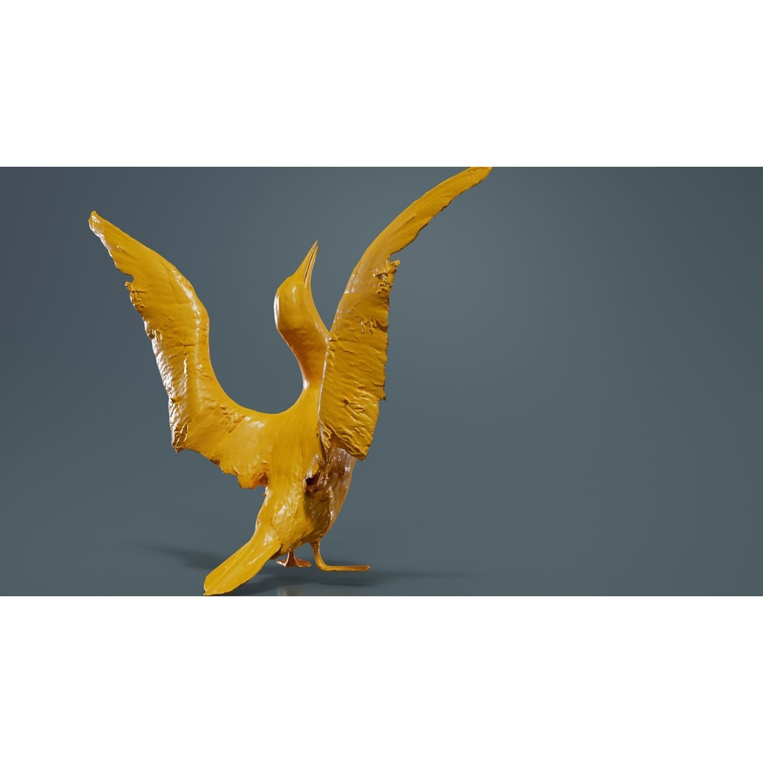 Cormorant Corvus Marinus 3D Model – Low Poly Game Asset, FBX - View 15