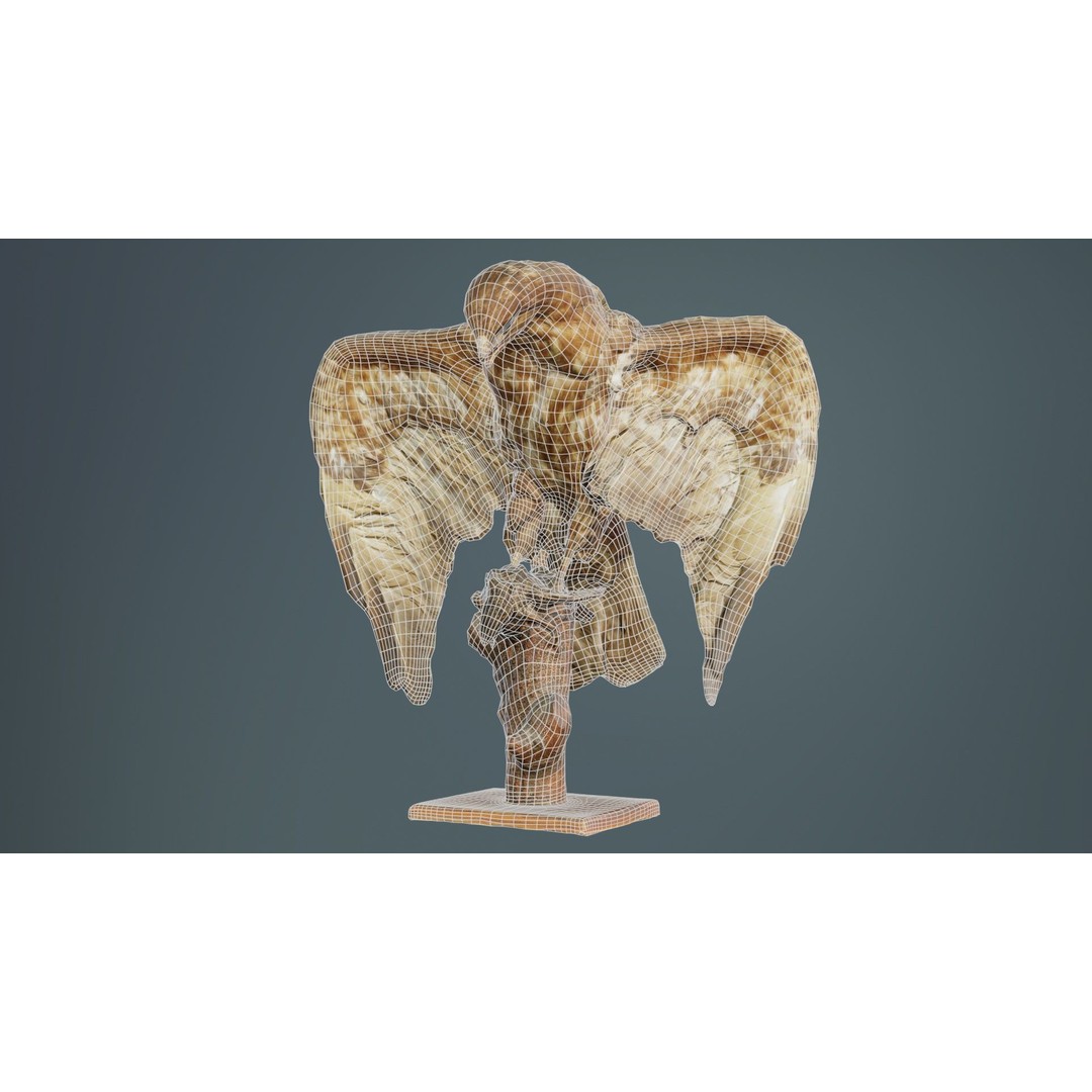 Australasian Harrier 3D Model – Low Poly Bird, FBX, Blender - View 11