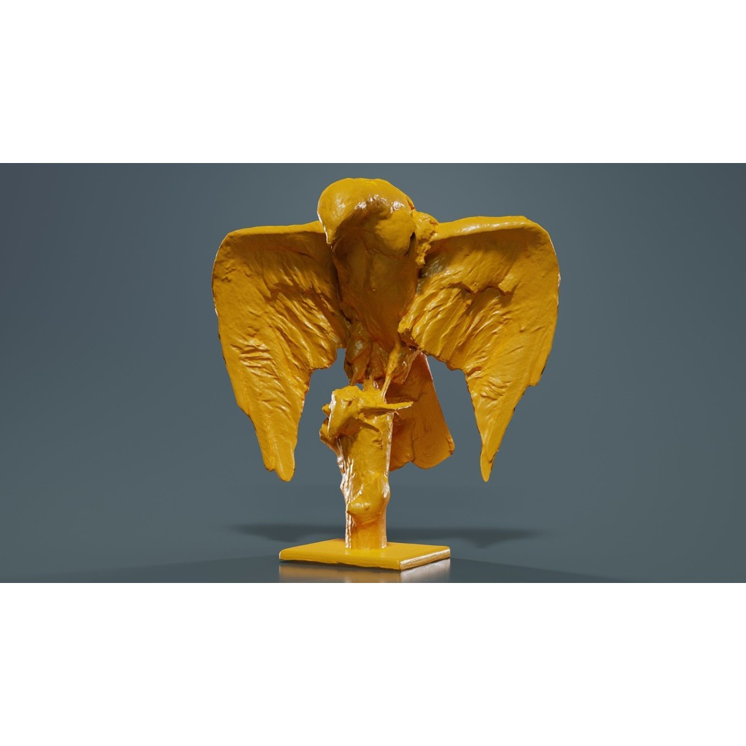 Australasian Harrier 3D Model – Low Poly Bird, FBX, Blender - View 14