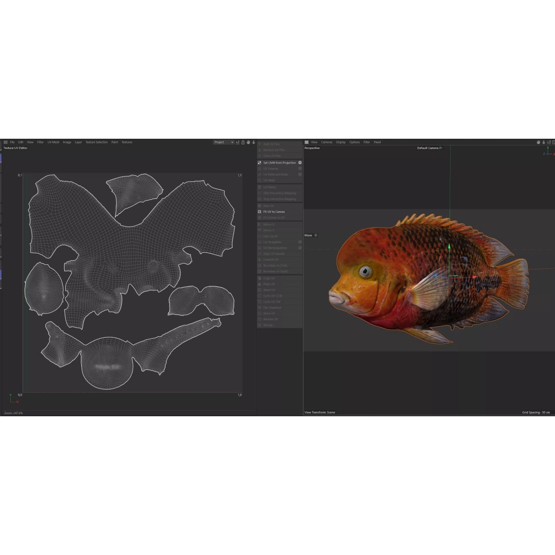 Redhead Cichlid 3D Model – Low Poly Fish Asset, Blender, FBX, OBJ - View 9