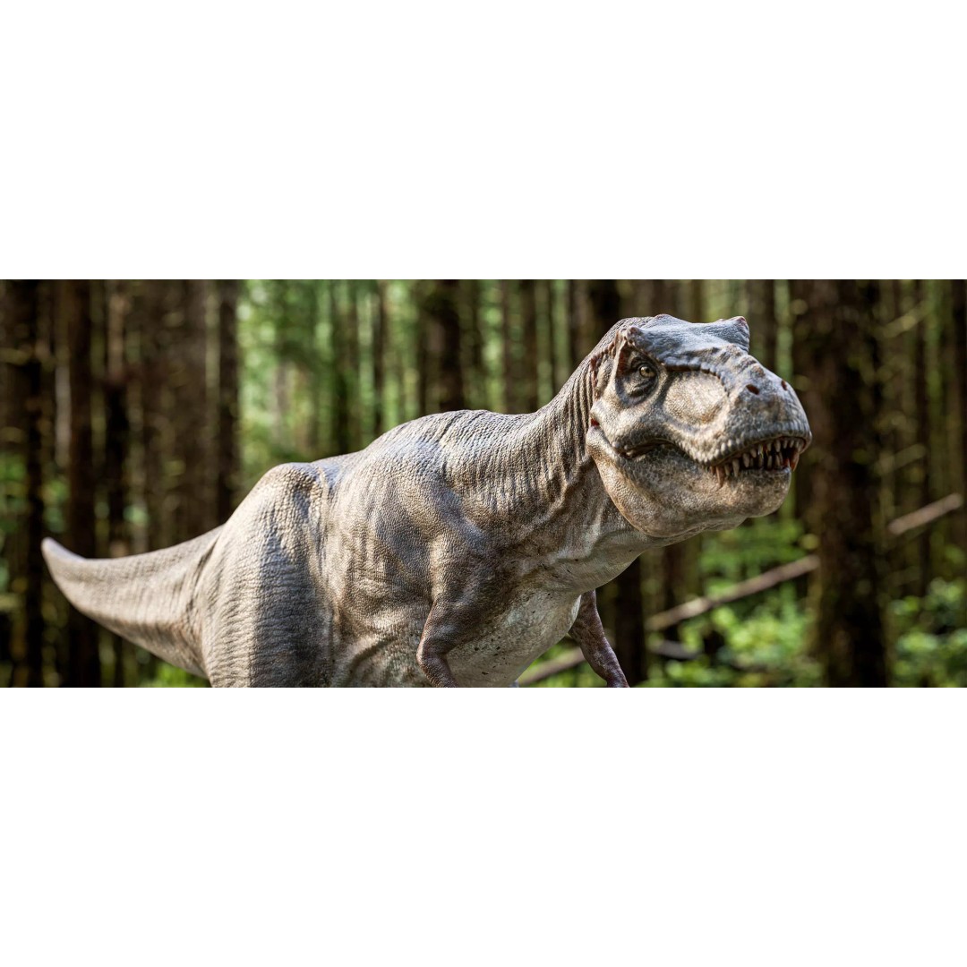 Tyrannosaurus Rex 3D Model – Low Poly Rigged Dinosaur, FBX - View 2