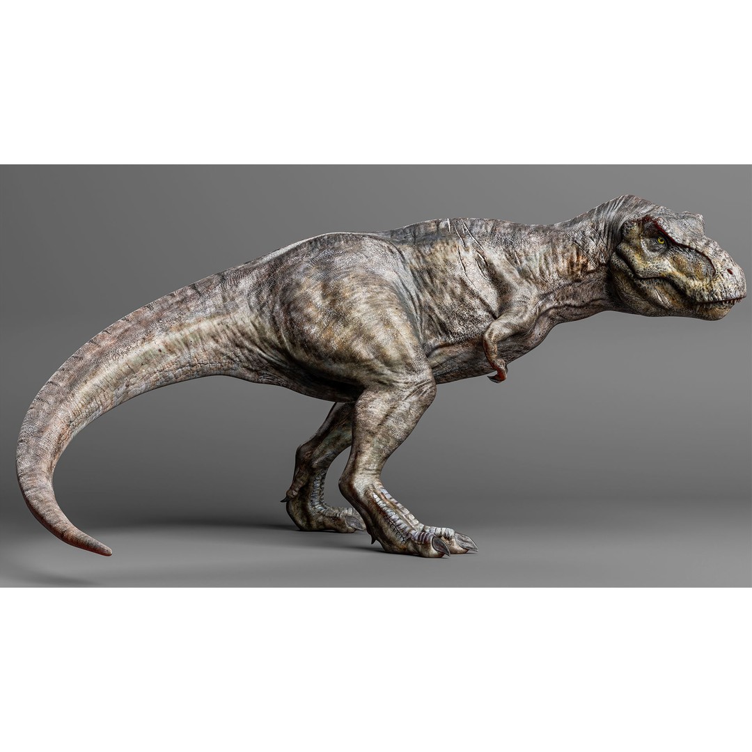Tyrannosaurus Rex 3D Model – Low Poly Rigged Dinosaur, FBX - View 4