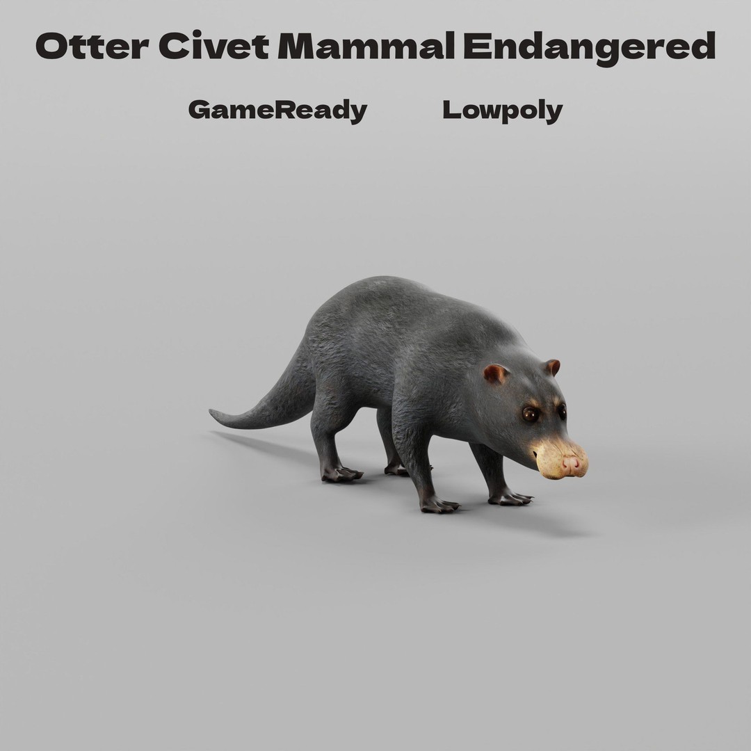 Otter Civet 3D Model – Low Poly Game Ready Character, FBX