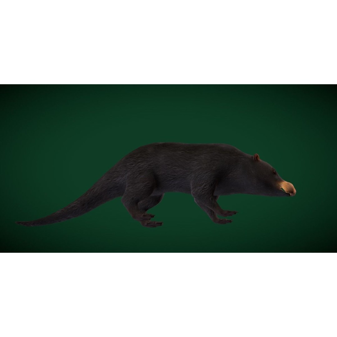 Otter Civet 3D Model – Low Poly Game Ready Character, FBX - View 10