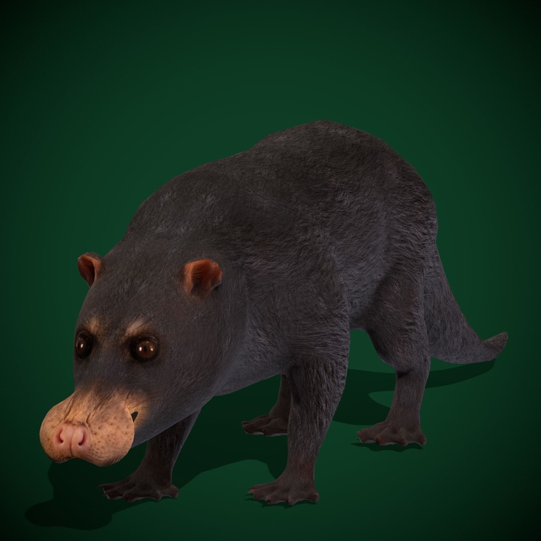 Otter Civet 3D Model – Low Poly Game Ready Character, FBX - View 11