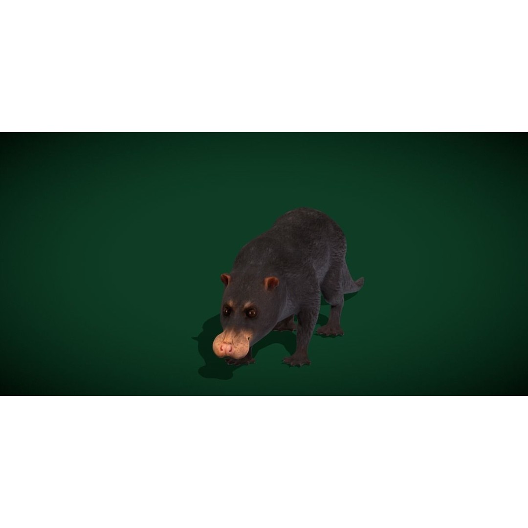 Otter Civet 3D Model – Low Poly Game Ready Character, FBX - View 12