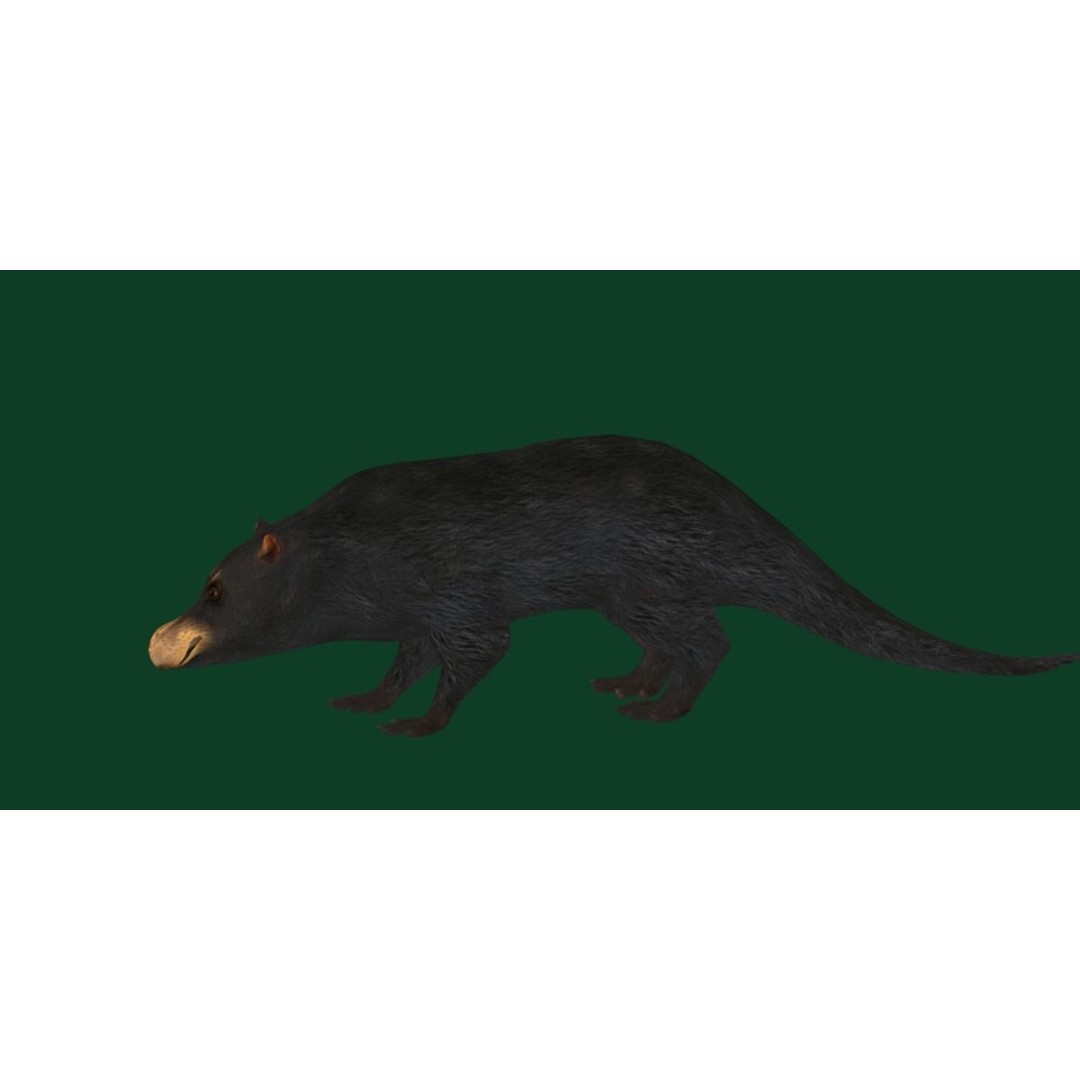 Otter Civet 3D Model – Low Poly Game Ready Character, FBX - View 15