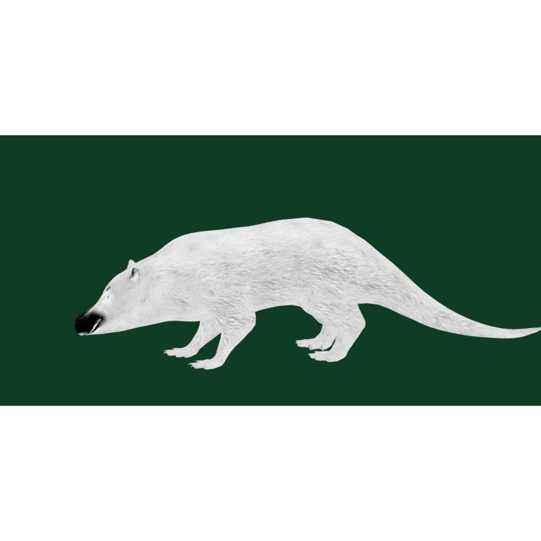 Otter Civet 3D Model – Low Poly Game Ready Character, FBX - View 16
