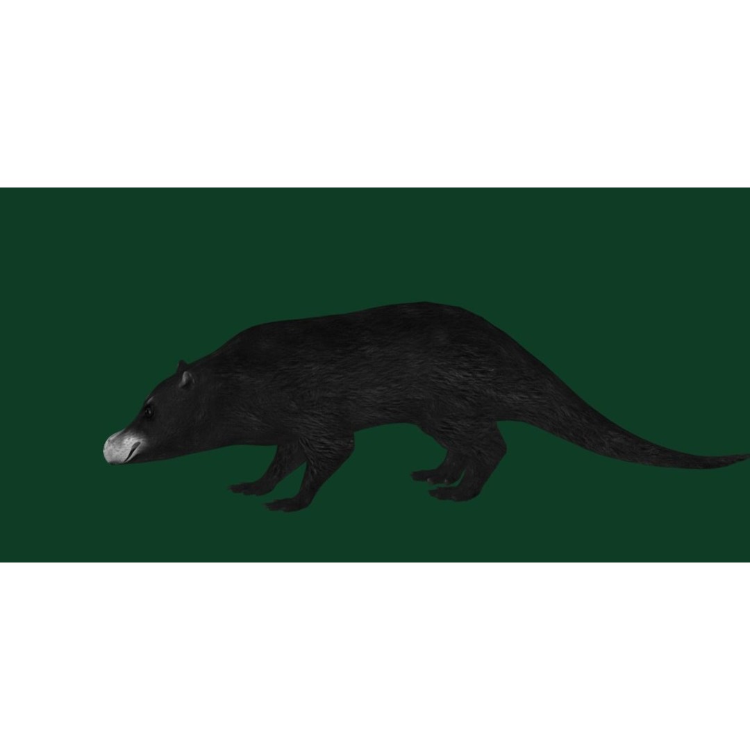 Otter Civet 3D Model – Low Poly Game Ready Character, FBX - View 18