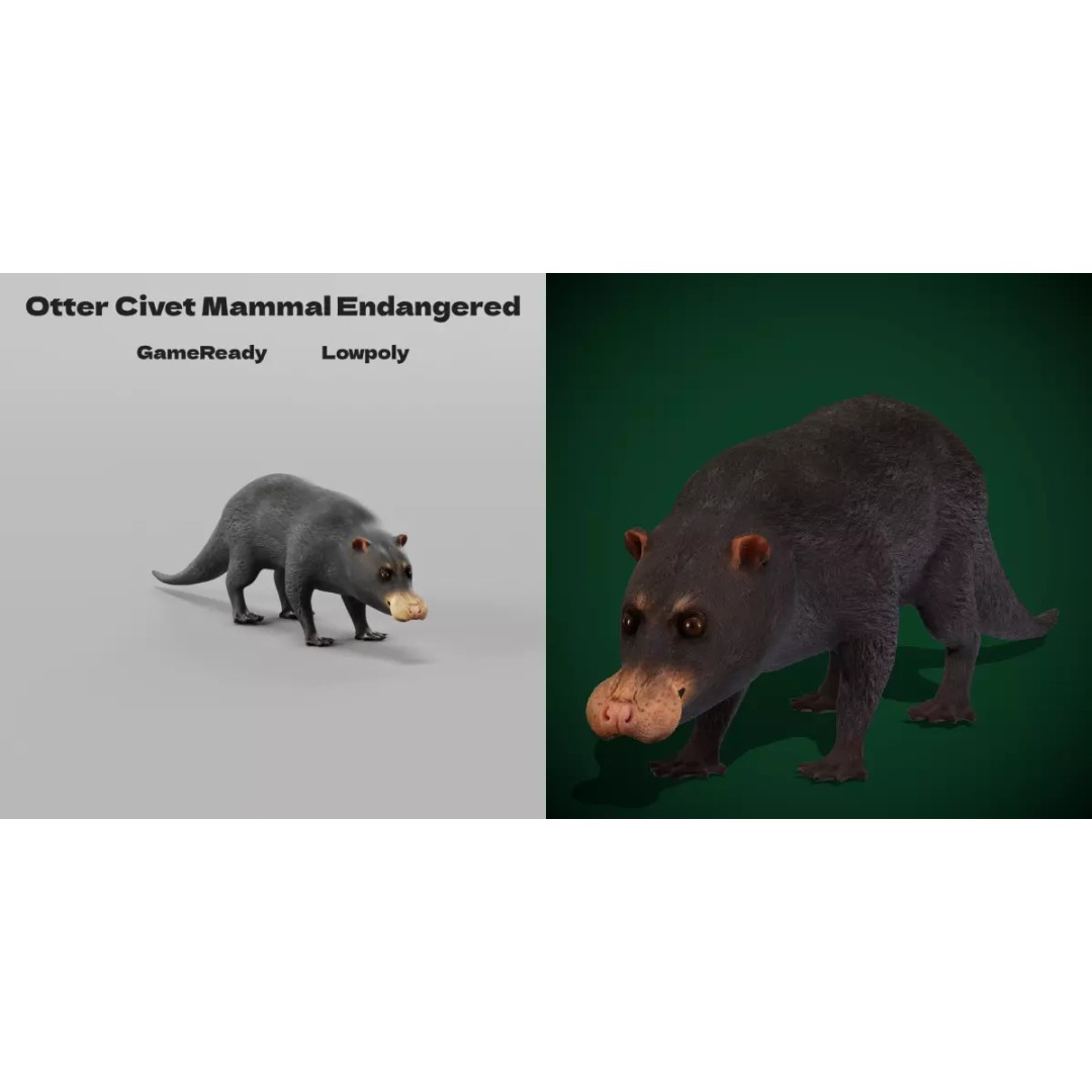 Otter Civet 3D Model – Low Poly Game Ready Character, FBX - View 2