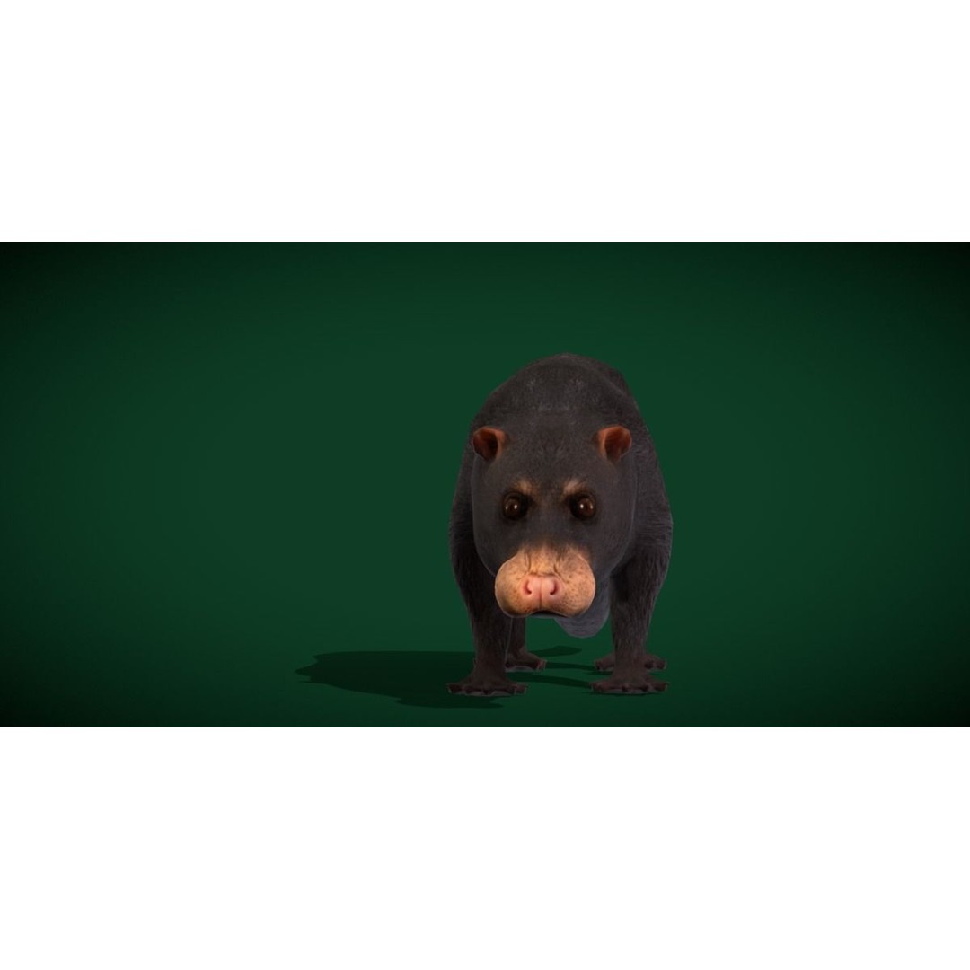 Otter Civet 3D Model – Low Poly Game Ready Character, FBX - View 20