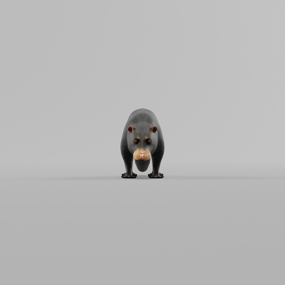 Otter Civet 3D Model – Low Poly Game Ready Character, FBX - View 21