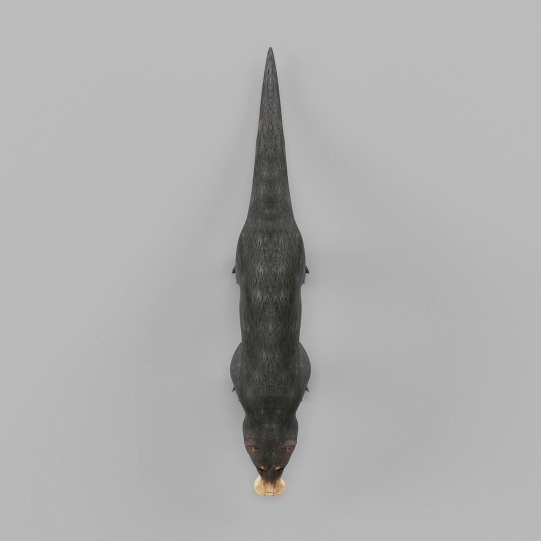 Otter Civet 3D Model – Low Poly Game Ready Character, FBX - View 23