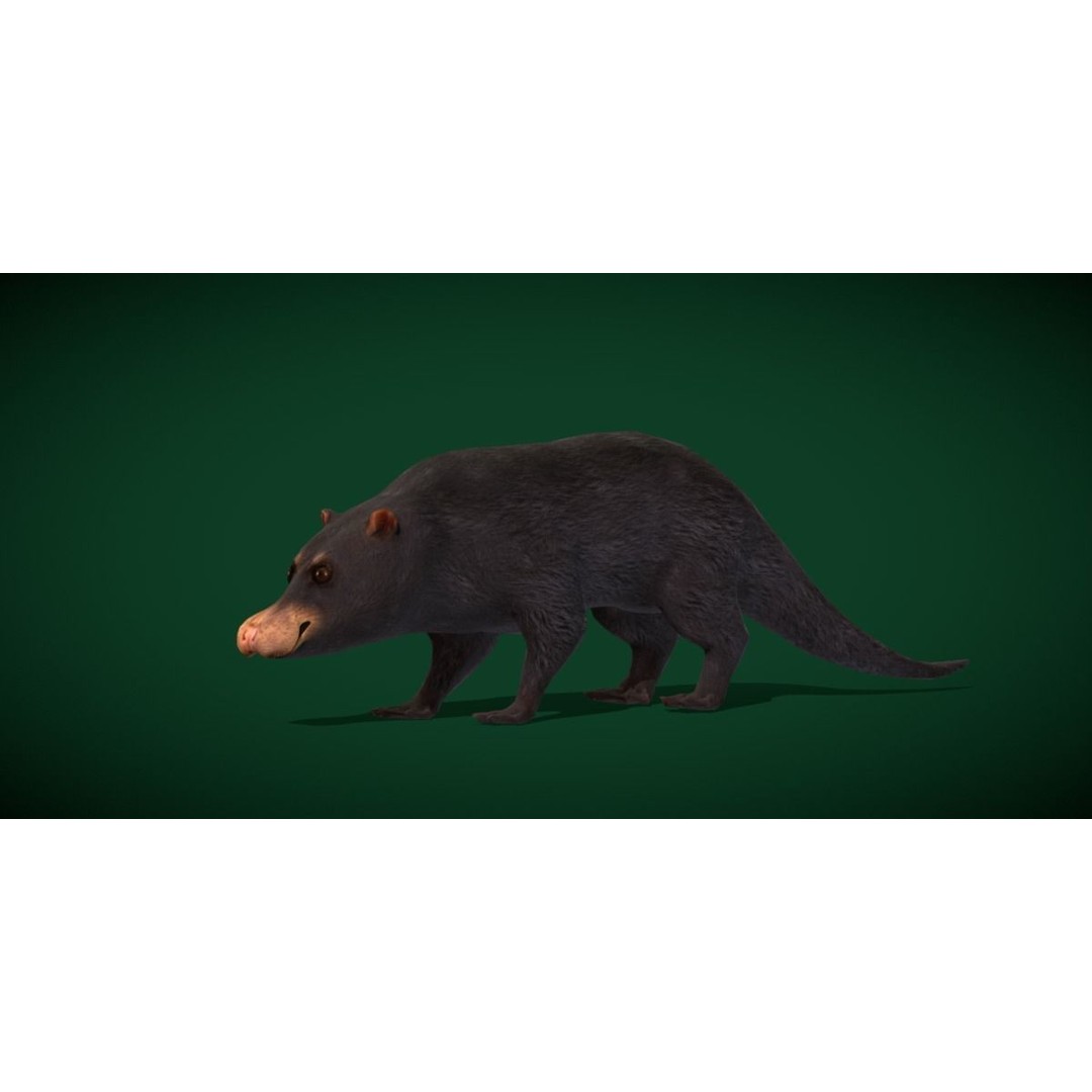 Otter Civet 3D Model – Low Poly Game Ready Character, FBX - View 3