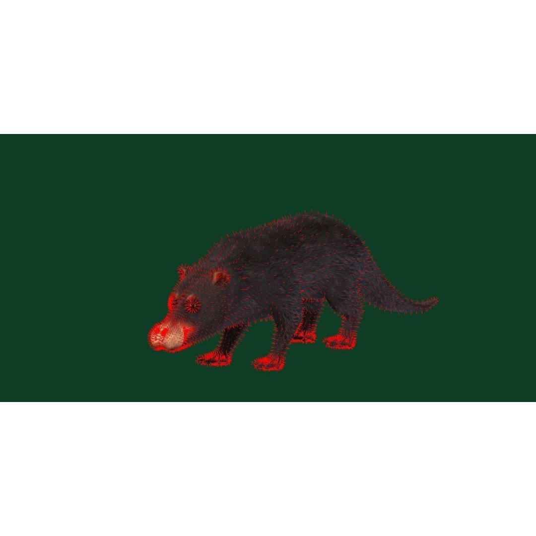 Otter Civet 3D Model – Low Poly Game Ready Character, FBX - View 6