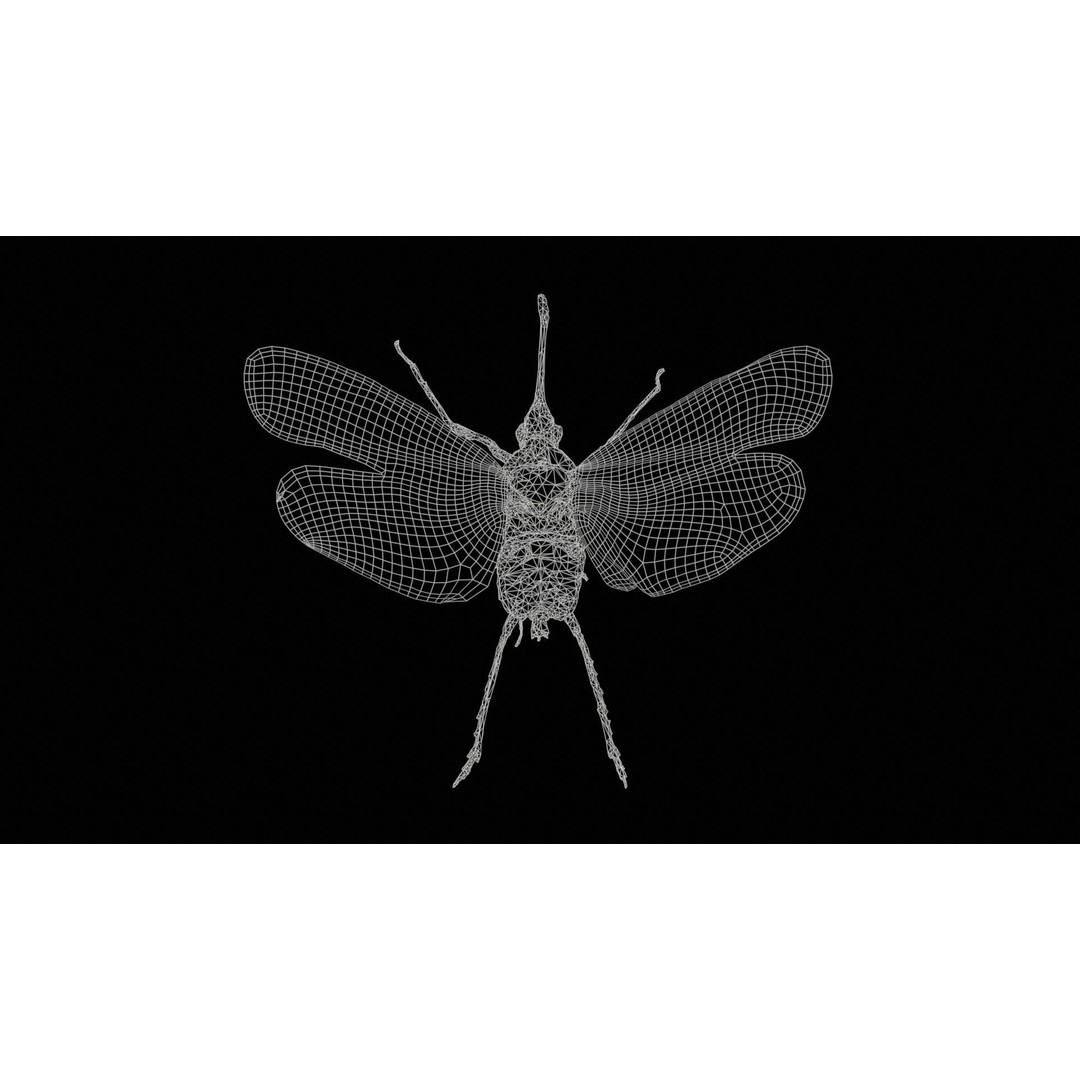Saiva Gemmata Laos 3D Model – Low Poly Insect Asset, FBX, Blender - View 13