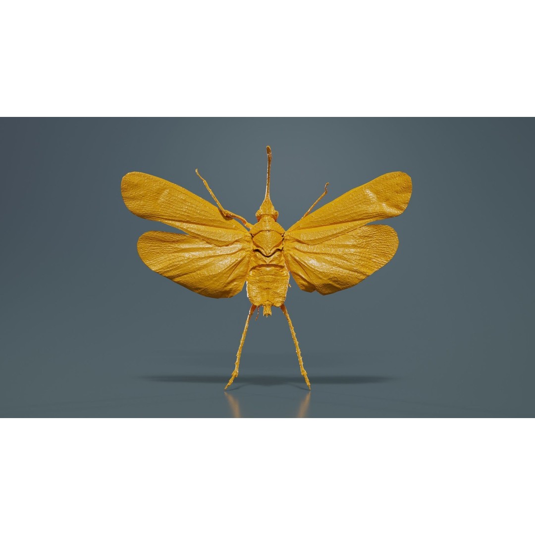 Saiva Gemmata Laos 3D Model – Low Poly Insect Asset, FBX, Blender - View 14