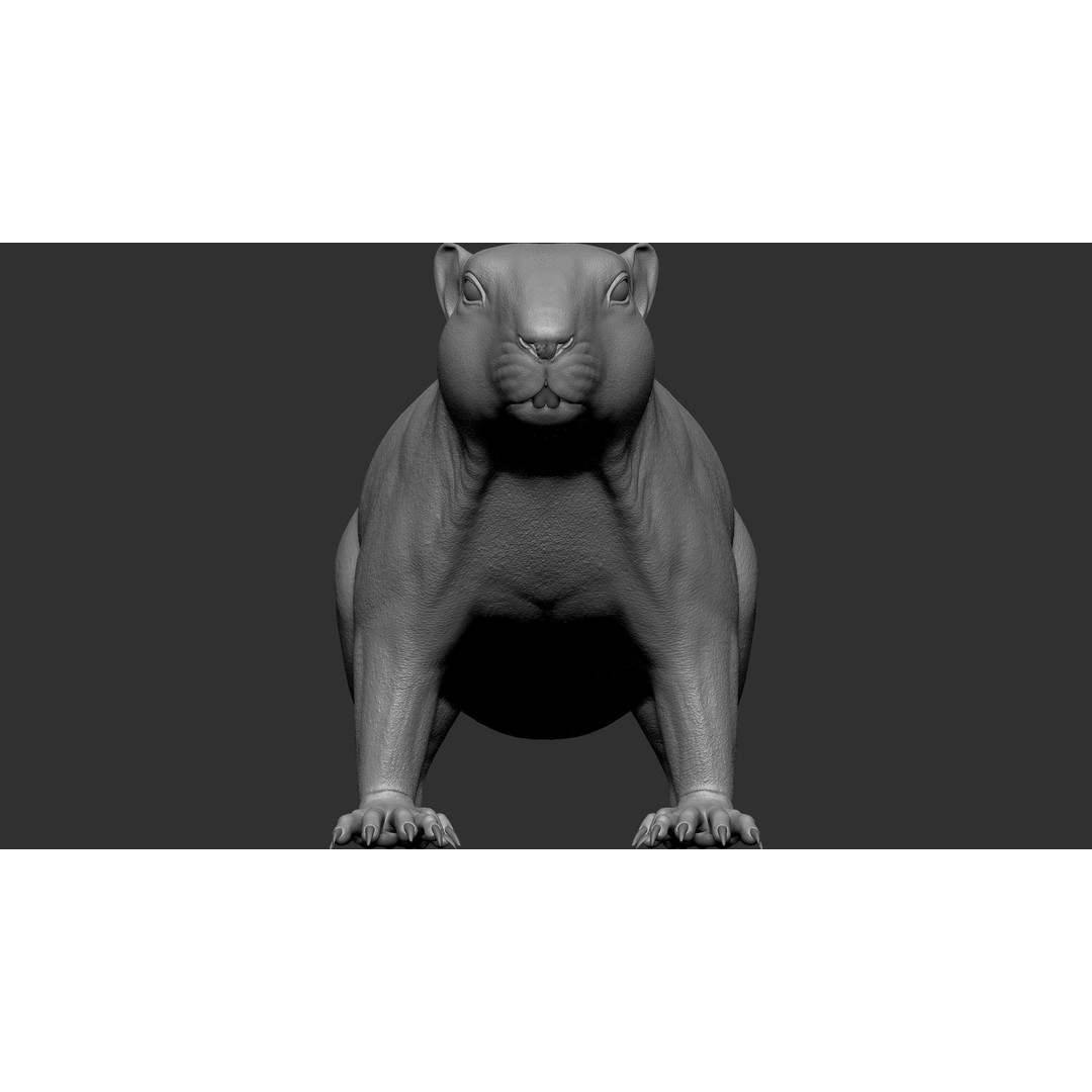 Marmot 3D Model – VFX Ready with Houdini Groom, PBR Textures - View 12