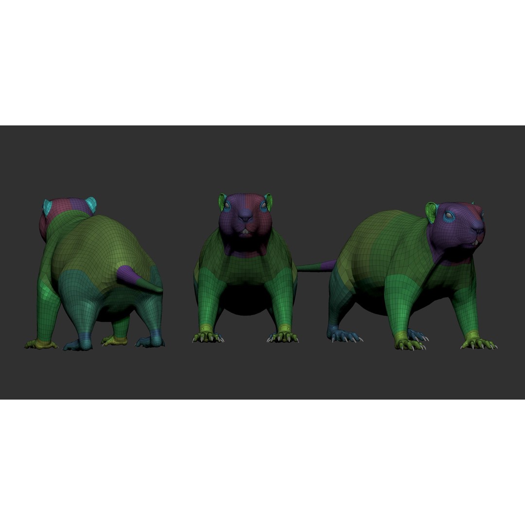 Marmot 3D Model – VFX Ready with Houdini Groom, PBR Textures - View 17