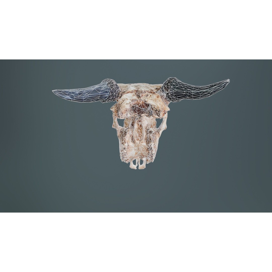 Dragon Decorated Skull 3D Model – Low Poly Game Asset, FBX, Blender - View 12