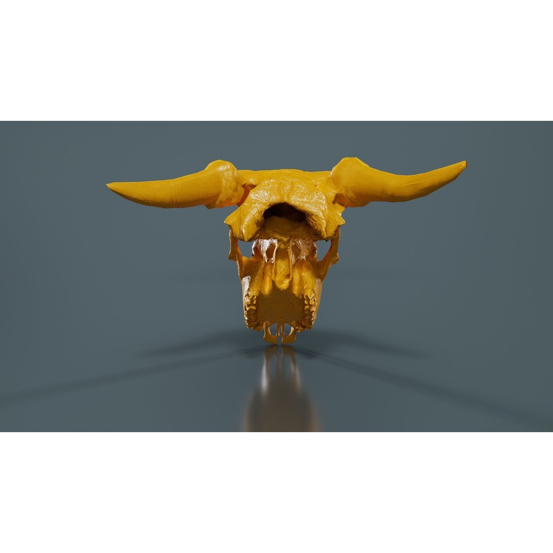 Dragon Decorated Skull 3D Model – Low Poly Game Asset, FBX, Blender - View 15