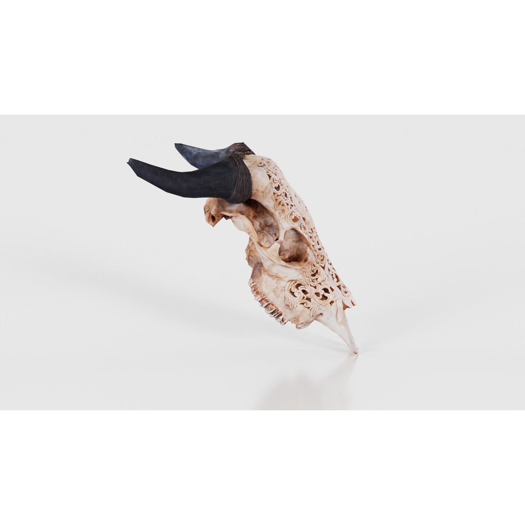 Dragon Decorated Skull 3D Model – Low Poly Game Asset, FBX, Blender - View 20