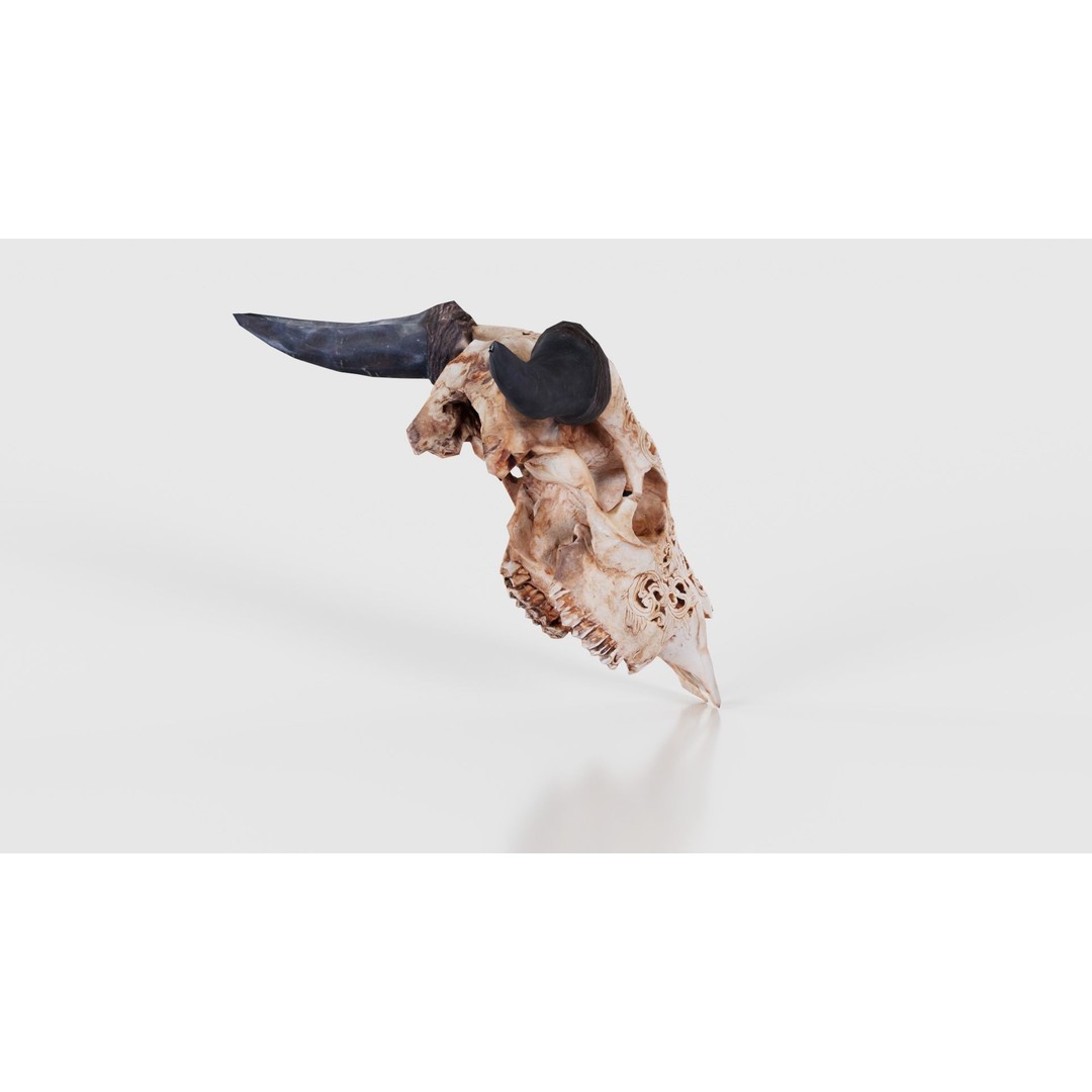 Dragon Decorated Skull 3D Model – Low Poly Game Asset, FBX, Blender - View 21