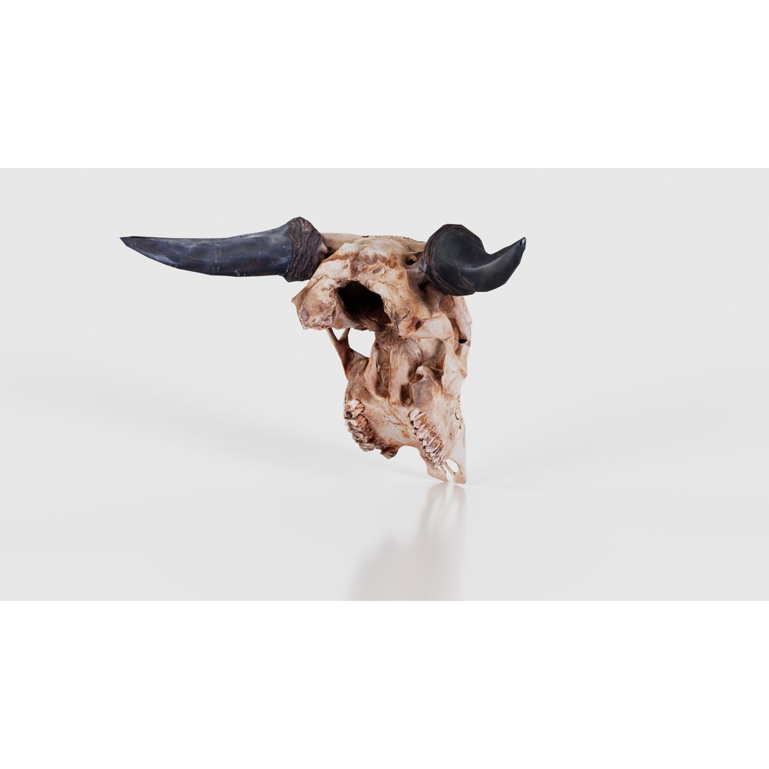 Dragon Decorated Skull 3D Model – Low Poly Game Asset, FBX, Blender - View 22