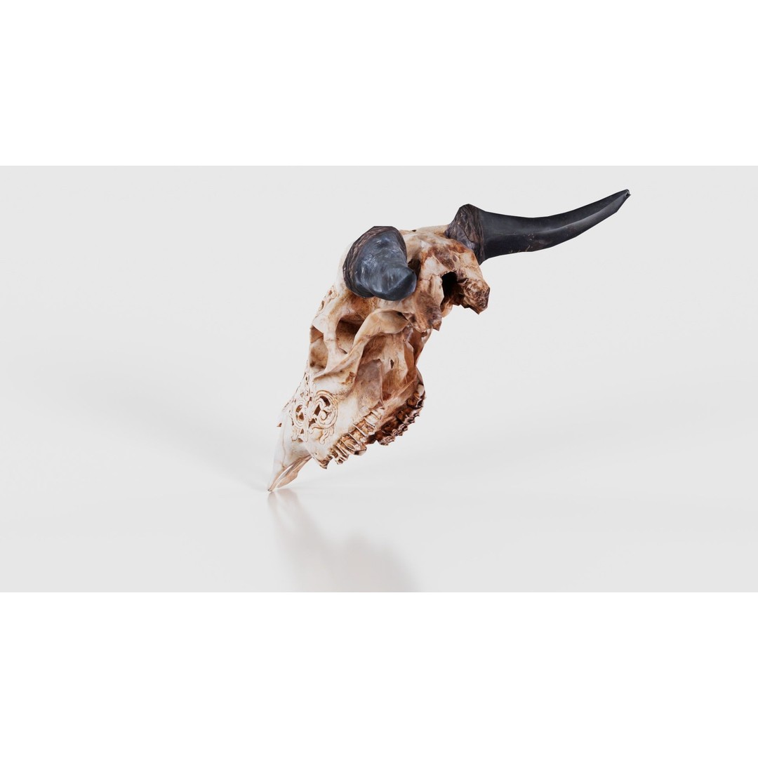 Dragon Decorated Skull 3D Model – Low Poly Game Asset, FBX, Blender - View 25