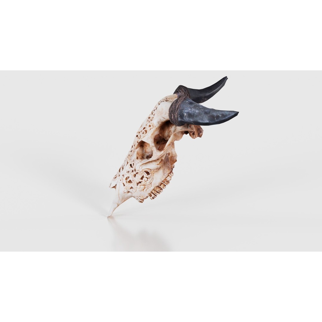 Dragon Decorated Skull 3D Model – Low Poly Game Asset, FBX, Blender - View 26