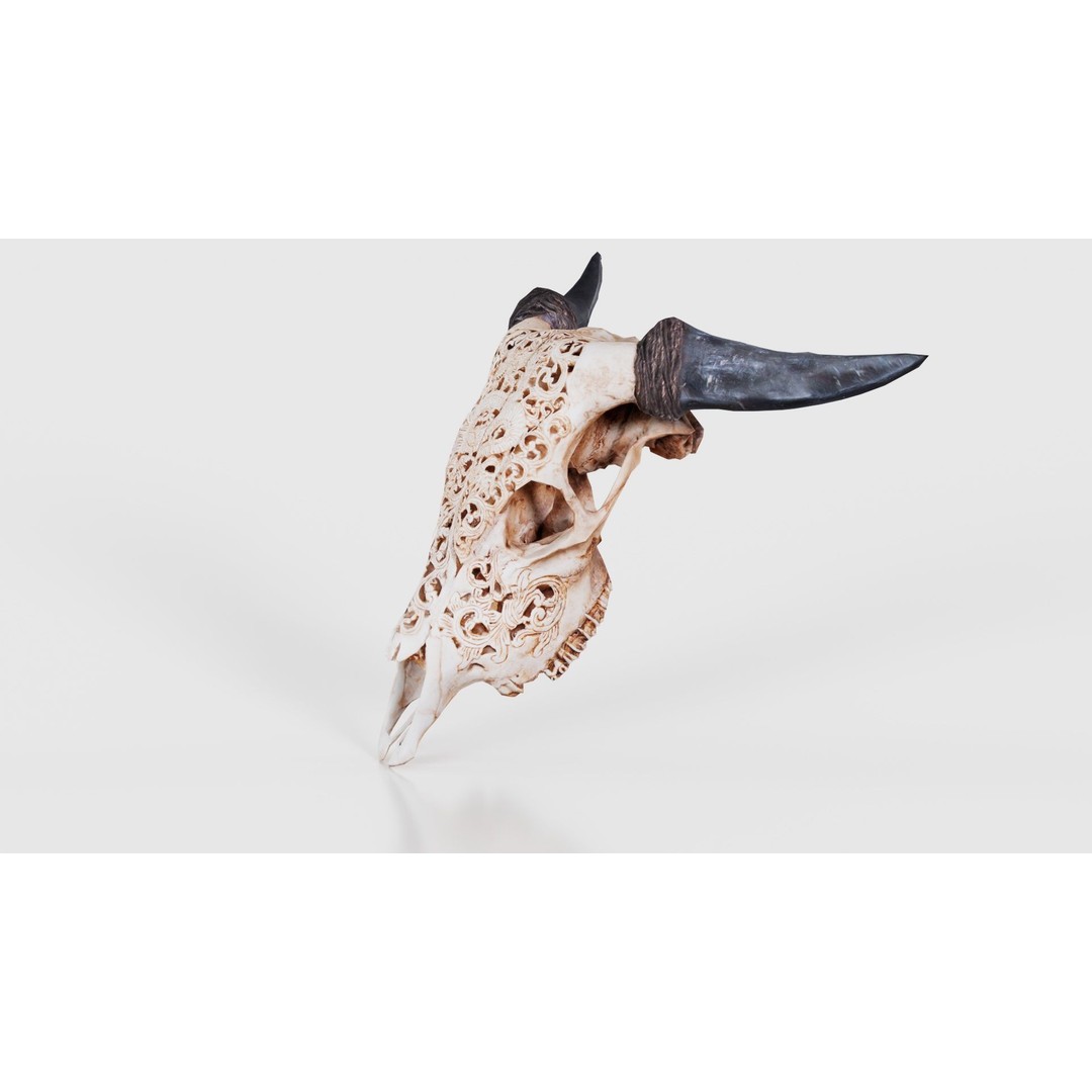 Dragon Decorated Skull 3D Model – Low Poly Game Asset, FBX, Blender - View 27