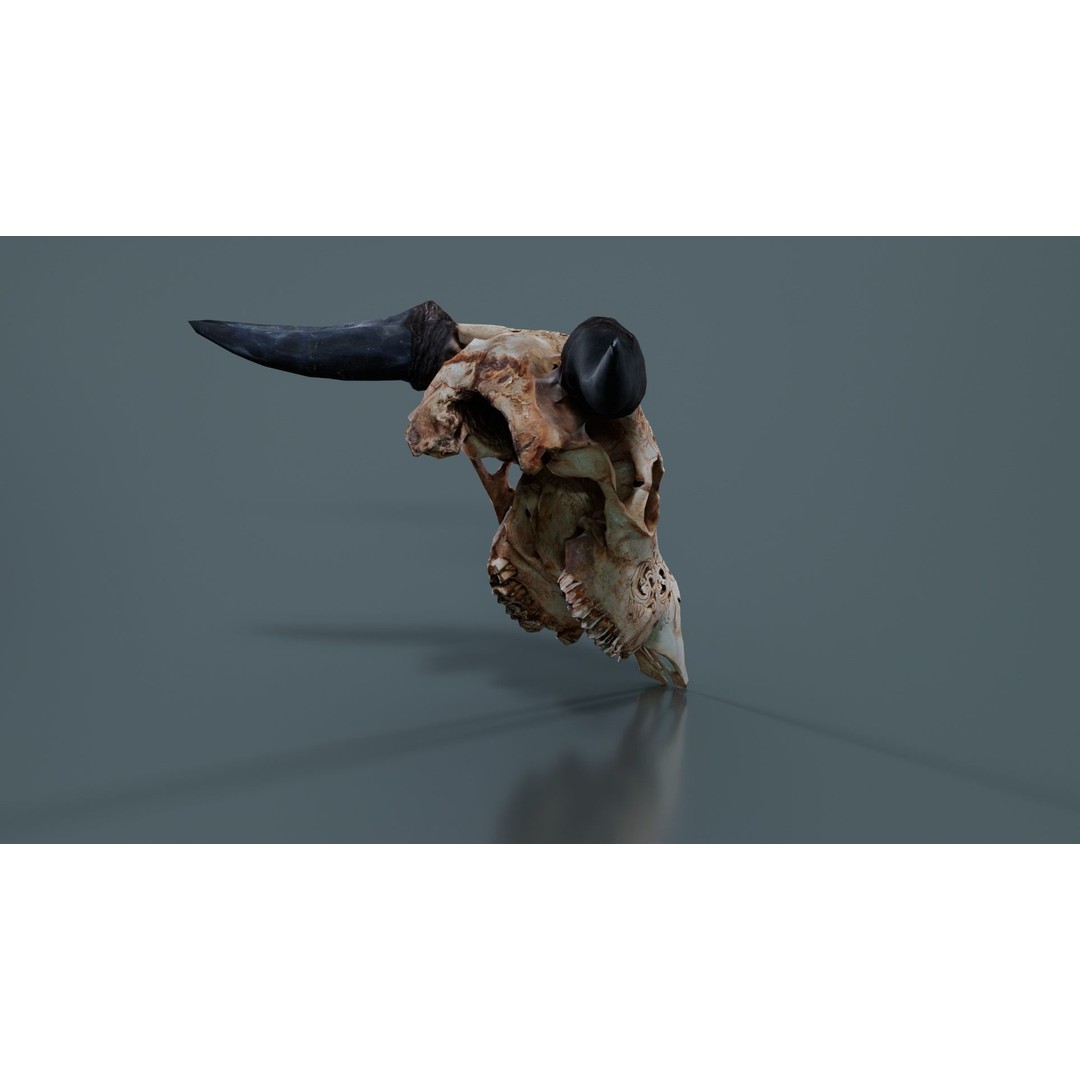 Dragon Decorated Skull 3D Model – Low Poly Game Asset, FBX, Blender - View 7